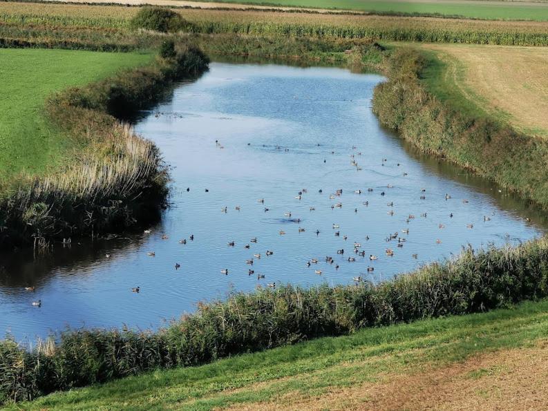 Liebevoll Eingerichtete Ferienwohnung Luettje Koje Dornum Exteriér fotografie